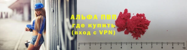 крисы Зеленокумск
