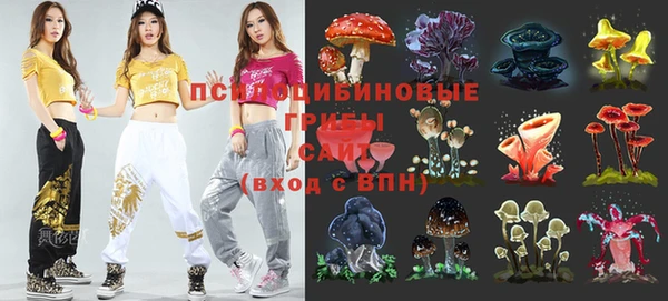 крисы Зеленокумск