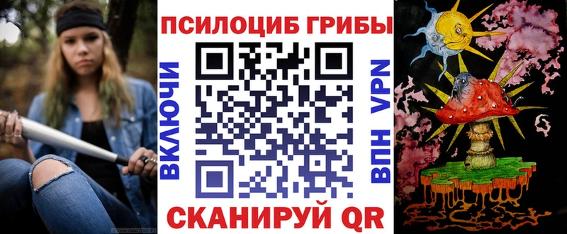 Купить где  Нолинск  Псилоцибиновые грибы Psilocybine cubensis 