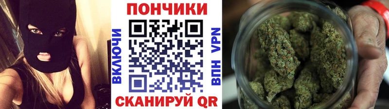 Купить  Нолинск  Бошки Шишки OG Kush 